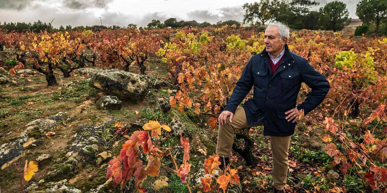 Juan Luis Cañas posa en la viña ‘El Rebollar’
