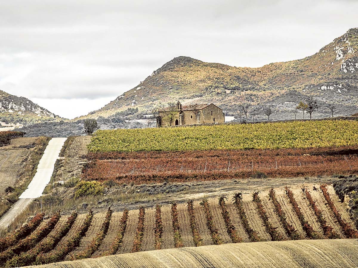 Paisaje de viñas con la ermita de Cillas, en Sajazarra, al fondo